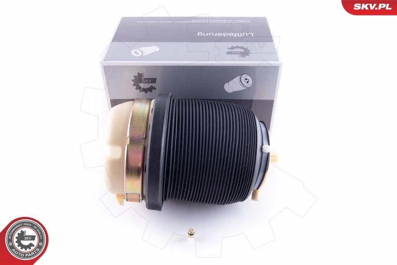 Air Spring, suspension